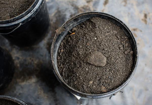 Lẳng lặng đặt thứ này vào ví, cuối năm tiền vào như thác đổ, 3 đời vẫn giàu sang-3