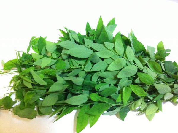 Chỉ cần thấy rau ngót có màu này là 99% phun thuốc kích thích, chị em cần tránh xa-2