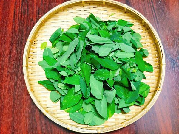 Chỉ cần thấy rau ngót có màu này là 99% phun thuốc kích thích, chị em cần tránh xa-1