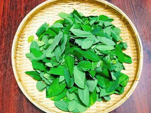 Chỉ cần thấy rau ngót có màu này là 99% phun thuốc kích thích, chị em cần tránh xa