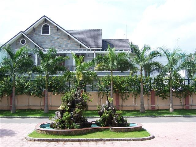 Chọn ‘thần cây’ gác cổng xua tà khí, hút tài lộc vào nhà-1