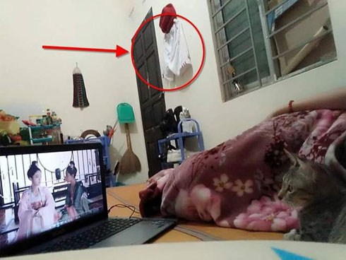 Vật thể lạ trong bình trà ngô khiến nhiều người kinh hãi, nhưng hóa ra sự thật lại là...-3