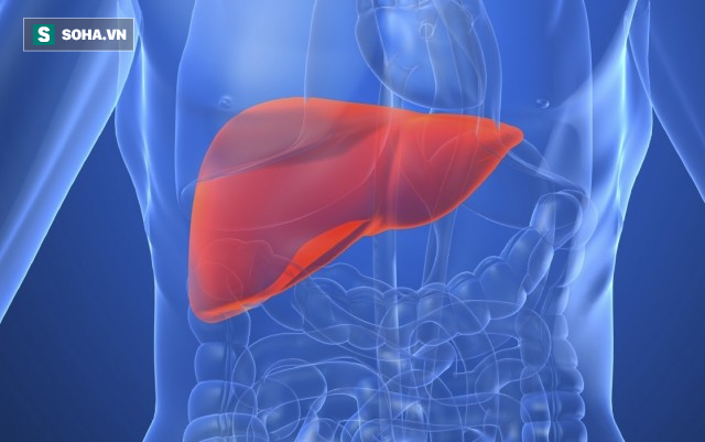 Gan phải làm việc rất nặng nhọc mỗi ngày, đây là cách chăm sóc hiệu quả ai cũng nên làm-5