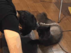 Thách thức danh hài tập 7: Trấn Thành rút tiền túi tặng thí sinh bị bỏ rơi, phải nghỉ học từ lớp 9-1