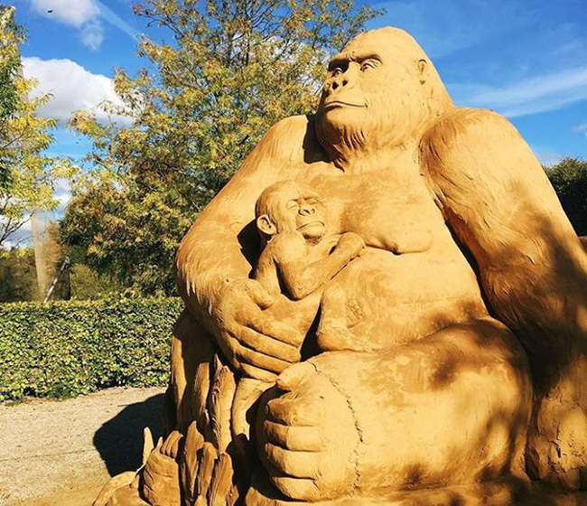 Khi những lâu đài cát được nâng cấp lên hàng tuyệt tác-21