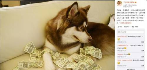 Vương Tư Thông: Thiếu gia cho chó đeo đồng hồ tiền tỷ, đùa giỡn vô số chân dài-2