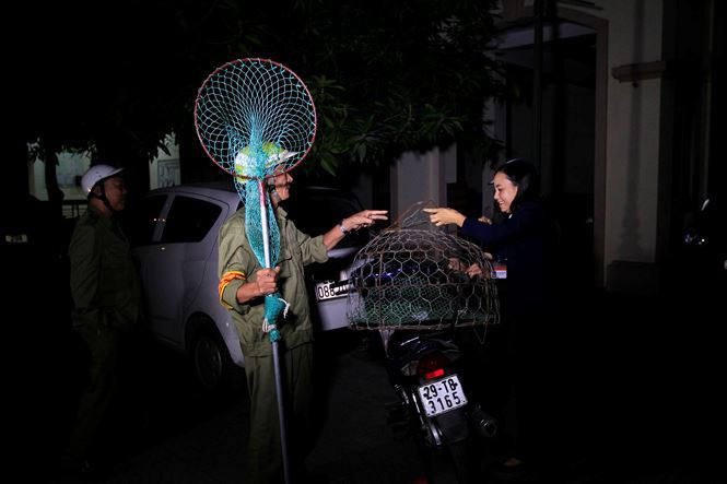 Tờ mờ sáng, theo chân đội bắt chó thả rông ở Hà Nội-3