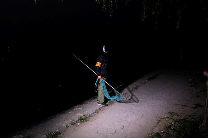 Tờ mờ sáng, theo chân đội bắt chó thả rông ở Hà Nội-5