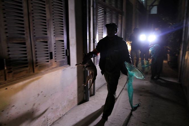 Tờ mờ sáng, theo chân đội bắt chó thả rông ở Hà Nội-6