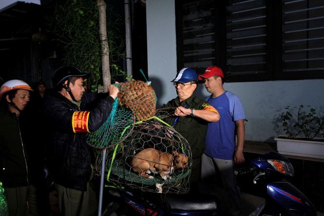 Tờ mờ sáng, theo chân đội bắt chó thả rông ở Hà Nội-9