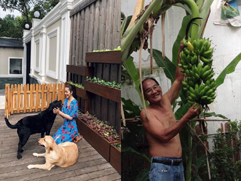 Nhờ điểm trời cho này trên gương mặt, Hà Tăng dễ dàng chinh phục mọi mẫu kính mắt dù chúng kỳ cục” đến cỡ nào-12