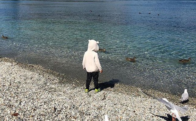 Cuộc sống của những cô chiêu, cậu ấm nhà sao Việt: Ở biệt thự triệu đô, học phí mỗi năm lên đến hàng trăm triệu-3