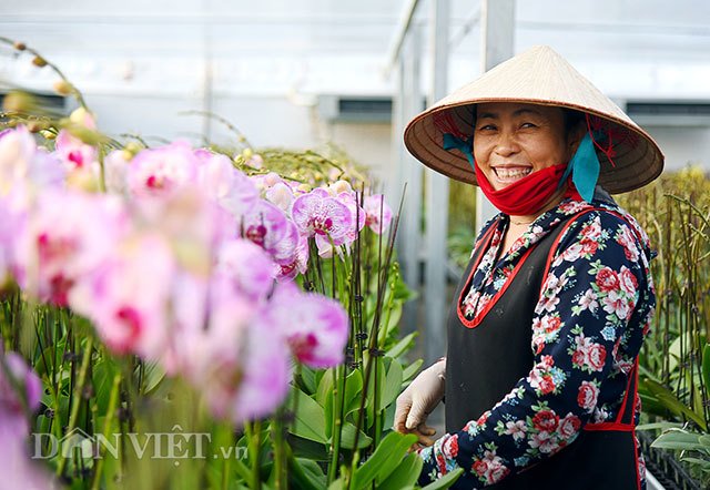 Bỏ Trung Quốc về Việt Nam: Ông trùm lan hồ điệp thu chục tỷ mỗi năm-4