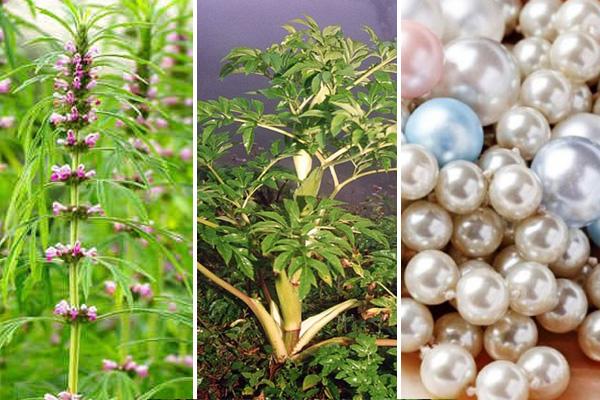 Nổi tiếng dâm loàn, Võ Tắc Thiên đã níu kéo thanh xuân bằng thứ bột thần tiên này-7