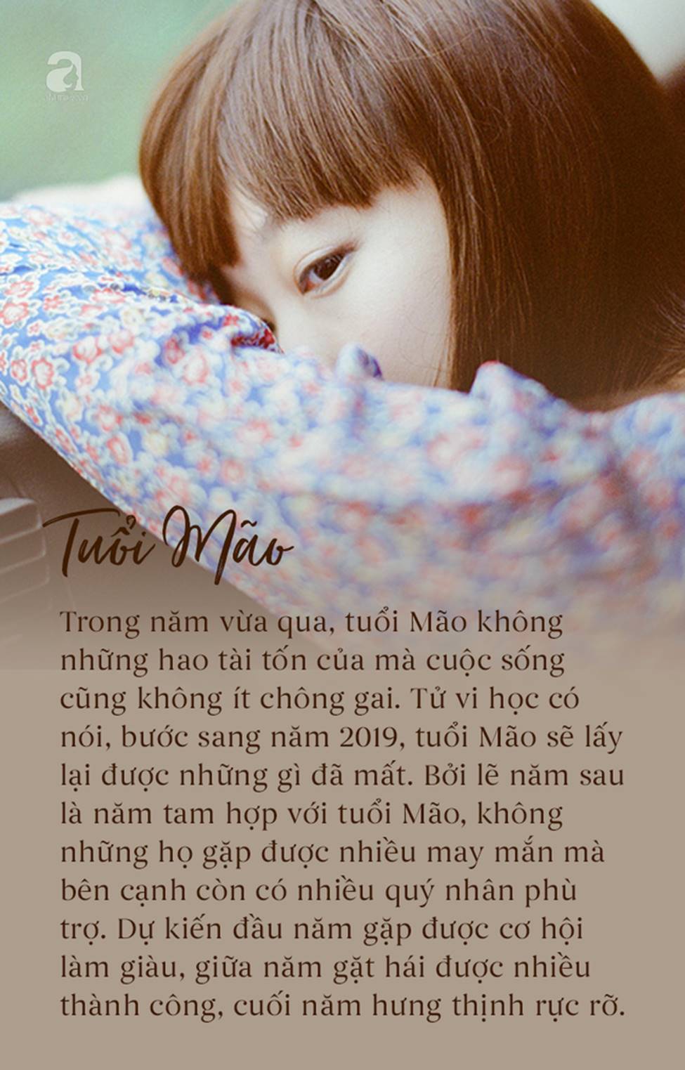2019 là năm tam hợp của 3 con giáp này, đầu năm may mắn liên tiếp, giữa năm phát tài, cuối năm thịnh vượng sung túc-1