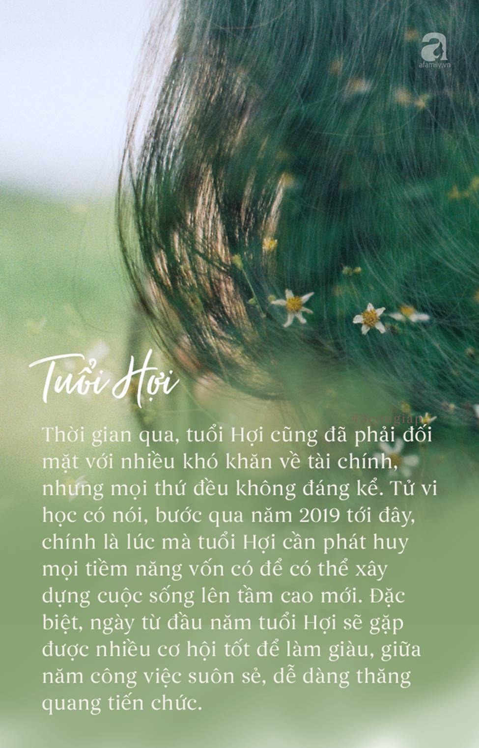 2019 là năm tam hợp của 3 con giáp này, đầu năm may mắn liên tiếp, giữa năm phát tài, cuối năm thịnh vượng sung túc-3