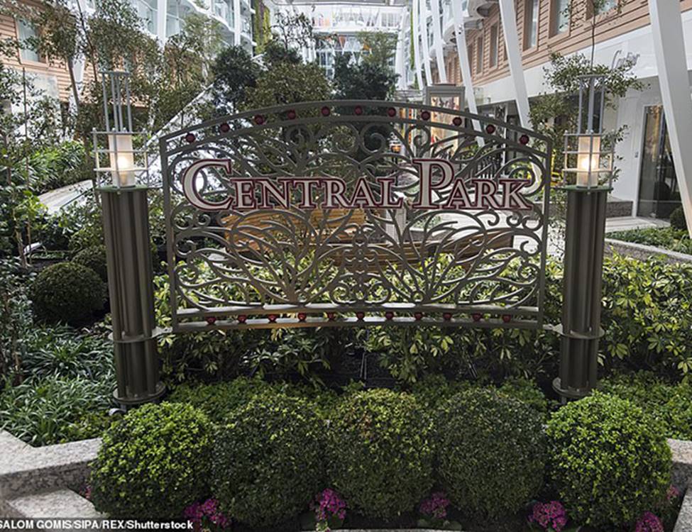 Vẻ đẹp choáng ngợp của siêu du thuyền lớn nhất hành tinh-9