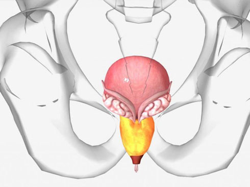 Bác sĩ cảnh báo sớm 5 triệu chứng viêm tuyến tiền liệt: Nếu ai thấy giống là phải đi khám-1
