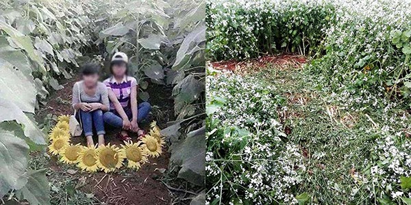 Ngồi thành hàng giữa đường tự tin check in, đoàn phượt thủ khiến cả mạng xã hội phản đối-3