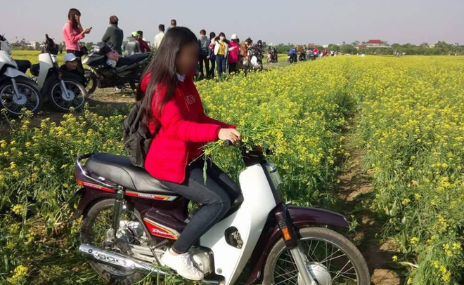 Ngồi thành hàng giữa đường tự tin check in, đoàn phượt thủ khiến cả mạng xã hội phản đối-4