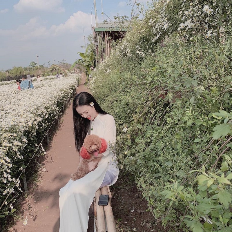 Chú chó chiếm sóng spotlight mùa cúc họa mi, ăn đứt mọi mẫu ảnh xinh đẹp-10