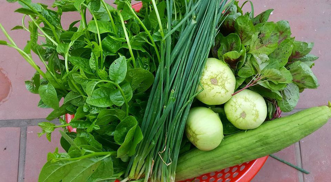 6 cách ăn rau quả tốt nhất cho sức khỏe: Bí quyết đơn giản nhưng không phải ai cũng biết-2