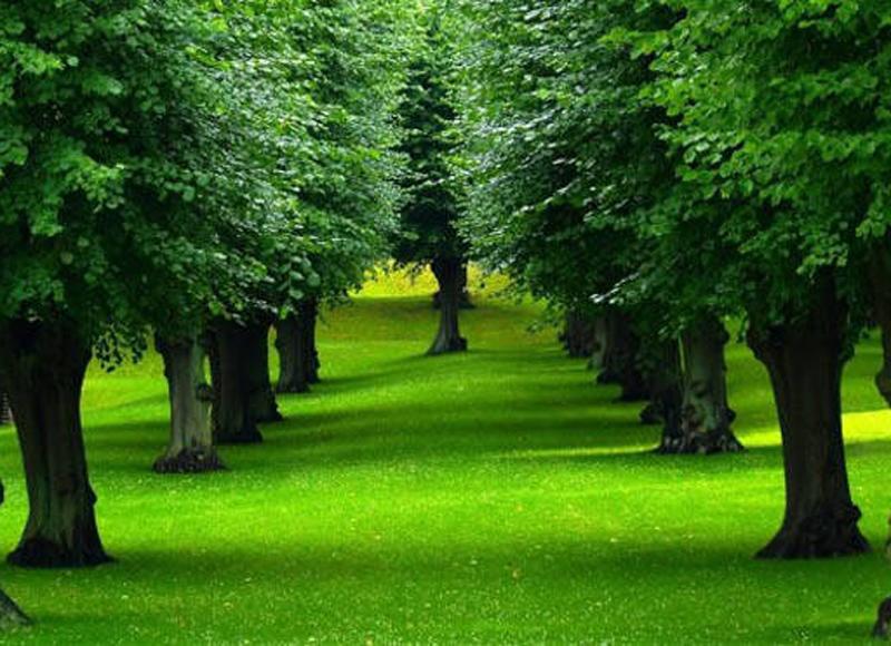 Những giấc mơ may mắn báo hiệu tiền về chật két, vượng lộc phát tài-7