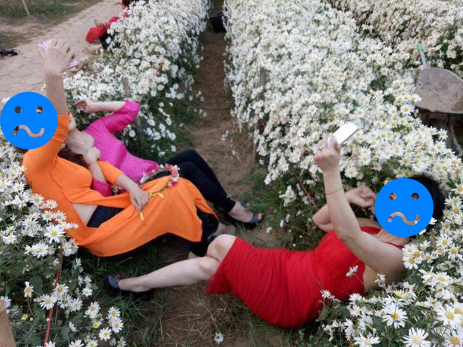 Chán tạo dáng e ấp bên cúc hoạ mi, 3 chị gái rủ nhau nằm hẳn lên luống hoa chụp ảnh-1