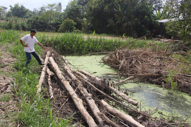 Nghi can khai giết nữ MC đám cưới xinh đẹp ở An Giang vì bị từ chối quan hệ tình dục-1