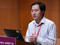 Trung Quốc: Không rõ tung tích nhà nghiên cứu tuyên bố chỉnh sửa gen gây chấn động giới khoa học
