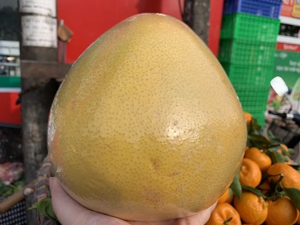 Bưởi Tàu khổng lồ, vỏ vàng bóng tràn về chợ Việt-2