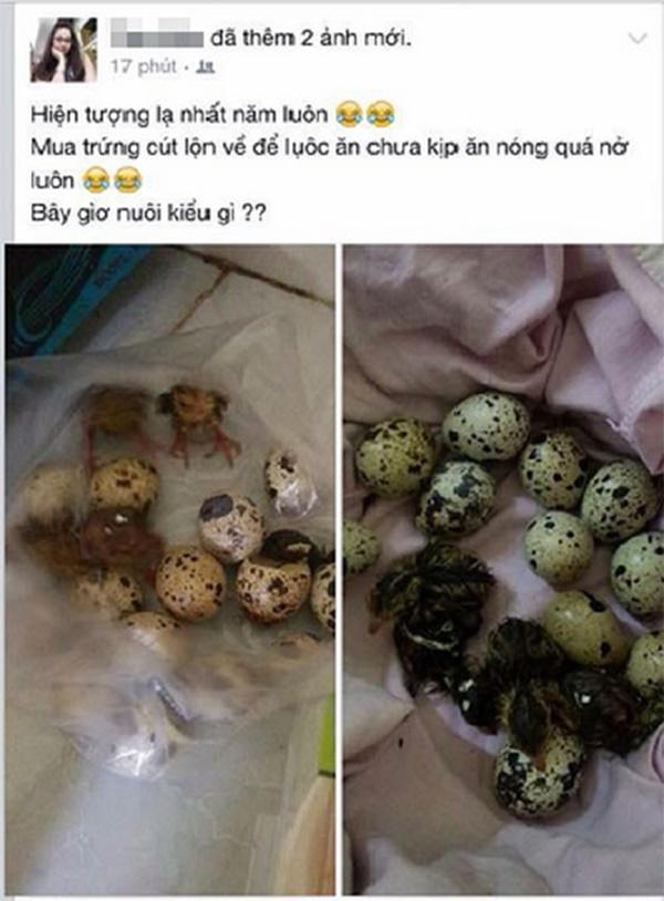 Khoe bonsai giá đỗ sau một ngày để quên, dân mạng chỉ ra điều kì lạ đáng sợ-3