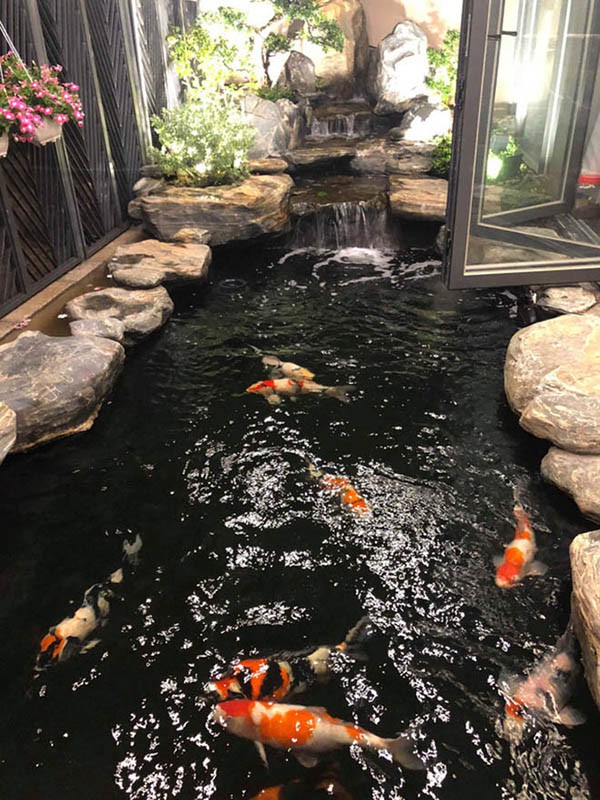 Cuộc sống giàu có trong 2 căn biệt thự xa hoa, riêng hồ cá đã hơn 1 tỷ của Cao Thái Sơn-8