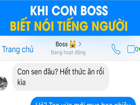 Dở khóc dở cười khi mèo cưng trong nhà biết nói tiếng người