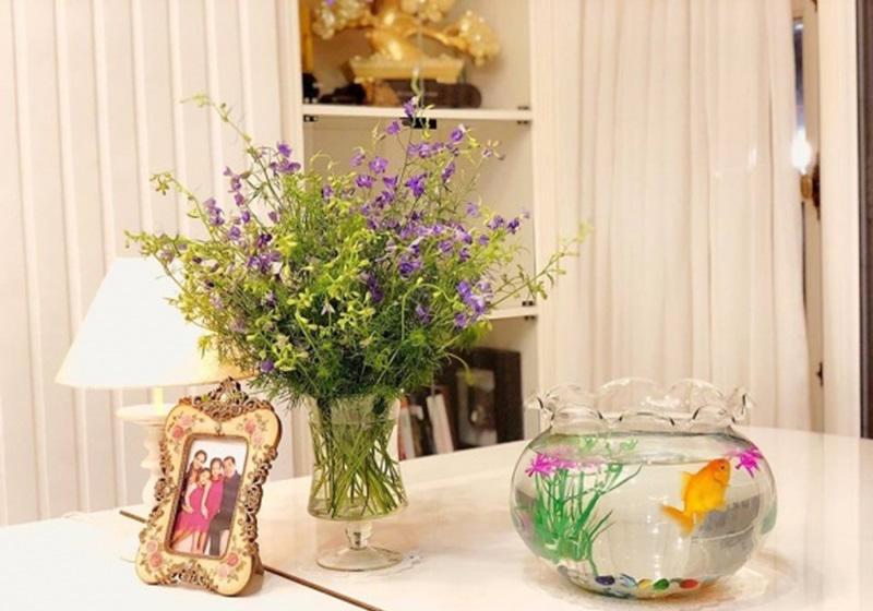 Từng phải vay 60 triệu để cưới Thúy Hạnh, giờ nhìn thế này ai còn dám chê Minh Khang nghèo?-12