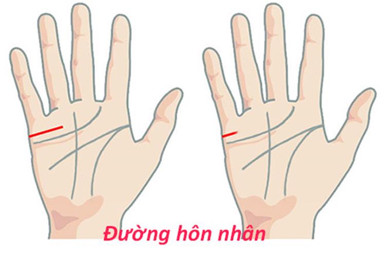 Phụ nữ có 6 đường chỉ tay này chắc chắn lấy chồng có gia sản bạc tỷ, suốt đời tắm trong biển tiền-6