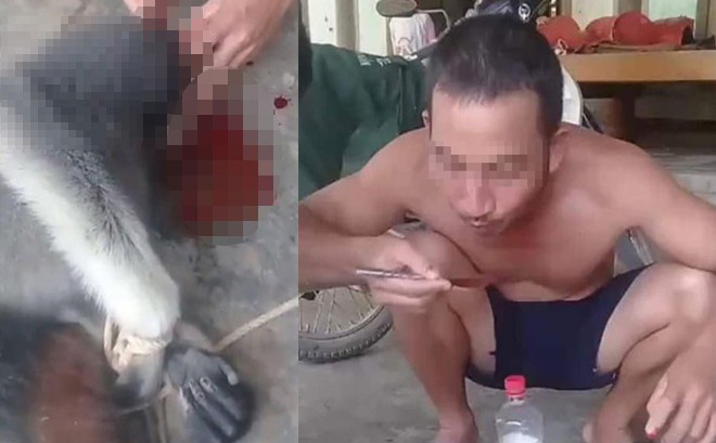 Nam thanh niên đăng ảnh giết khỉ lên facebook để ra oai với bạn bè và câu like-1