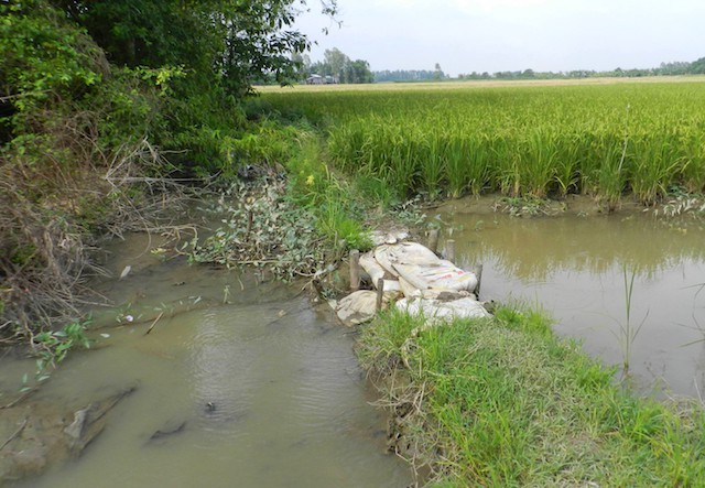 Gã thợ hồ sáng đi rước dâu, tối ngủ với vợ sau khi giết nữ MC đám cưới xinh đẹp ở An Giang-3