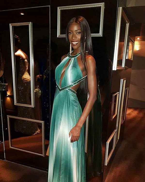 Miss Universe: HHen Niê nổi bật, Hoa hậu Albania bị chê vì khoe thân-12