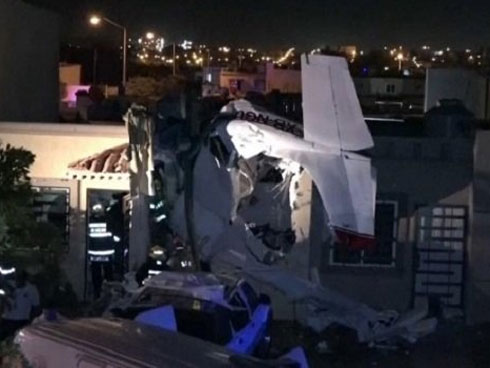 Video: Chiêm ngưỡng lợn cõng quất bonsai 10 triệu đồng sắp ra thị trường Tết-1