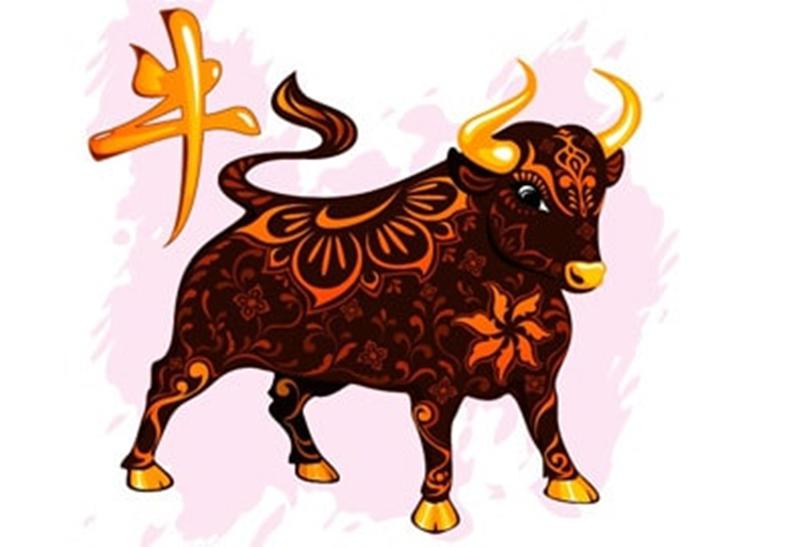 3 con giáp giàu vì vợ, càng nghe vợ càng nhanh phát tài, một bước thành đại gia-10