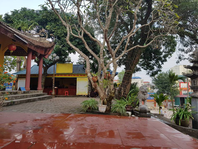 Thái Nguyên: Nam thanh niên vào chùa bắn 7 phát chỉ thiên rồi dùng dao tự sát-3