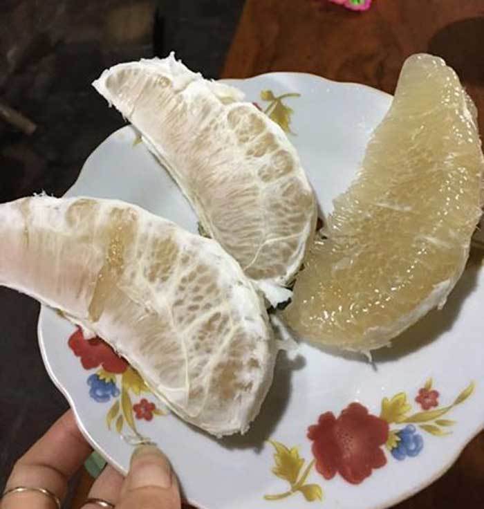 Bưởi Trung Quốc, bưởi Việt Nam: Phân biệt để tránh thắp hương đồ Tàu-4