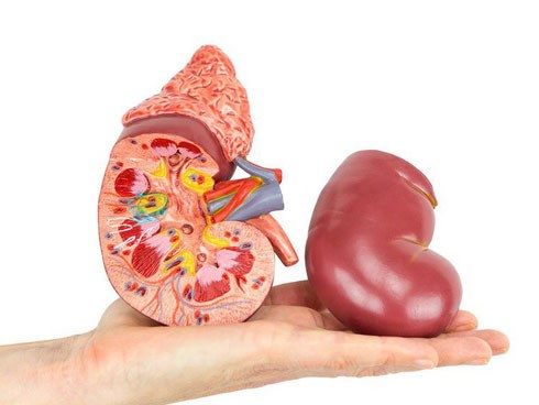 Người làm tốt 3 việc này hiếm khi