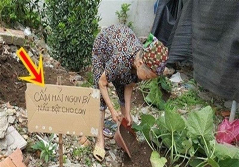 Cười chảy nước mắt” với 1001 chiêu chống trộm trái cây bá đạo chỉ có ở Việt Nam-3