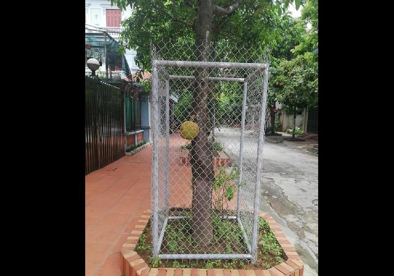 Cười chảy nước mắt” với 1001 chiêu chống trộm trái cây bá đạo chỉ có ở Việt Nam-13
