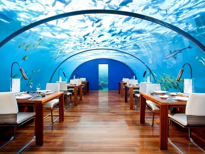 Đầu bếp nổi tiếng tự tử: Hé lộ điều kinh khủng trong giới nhà hàng-6