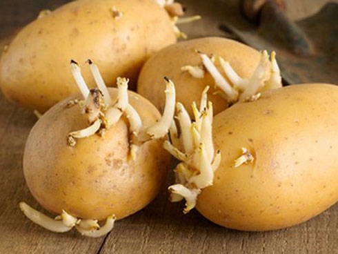 Ăn đồ thừa bị ung thư? Chuyên gia lý giải sự thật mà nhiều người vẫn luôn tin-7