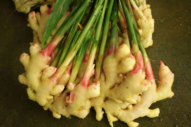 5 thay đổi đáng kinh ngạc khi ăn gừng: Lý do Đông y coi là thuốc bổ dương cho quý ông-3