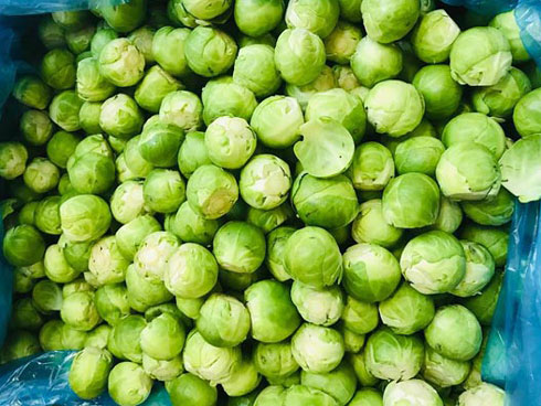 Bắp cải kỳ lạ, luộc nguyên cây mỗi bữa ăn hết 20 bắp-3